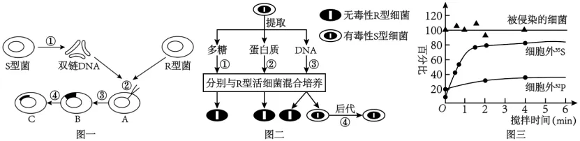 高一下期末-生物-基因的本质真题汇编试卷考答案解析考点题型 第21张