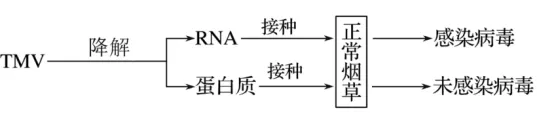 高一下期末-生物-基因的本质真题汇编试卷考答案解析考点题型 第24张