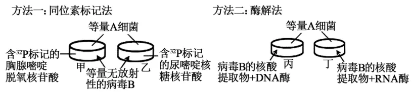 高一下期末-生物-基因的本质真题汇编试卷考答案解析考点题型 第25张