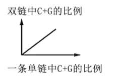 高一下期末-生物-基因的本质真题汇编试卷考答案解析考点题型 第34张