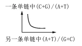 高一下期末-生物-基因的本质真题汇编试卷考答案解析考点题型 第35张