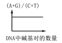 高一下期末-生物-基因的本质真题汇编试卷考答案解析考点题型 第36张