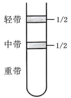 高一下期末-生物-基因的本质真题汇编试卷考答案解析考点题型 第50张