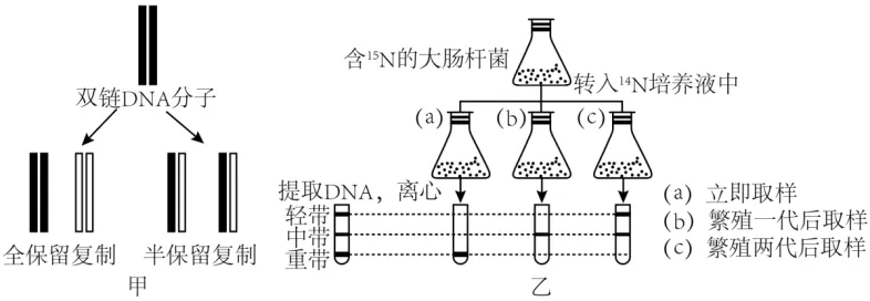 高一下期末-生物-基因的本质真题汇编试卷考答案解析考点题型 第51张
