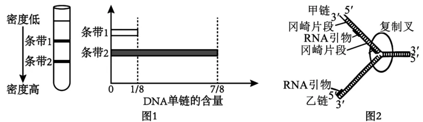 高一下期末-生物-基因的本质真题汇编试卷考答案解析考点题型 第56张