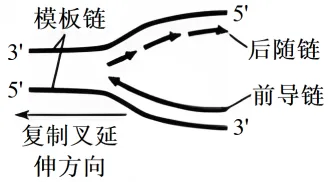 高一下期末-生物-基因的本质真题汇编试卷考答案解析考点题型 第60张