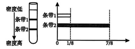 高一下期末-生物-基因的本质真题汇编试卷考答案解析考点题型 第70张