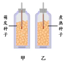 中考生物中的21个常考实验汇总 第11张