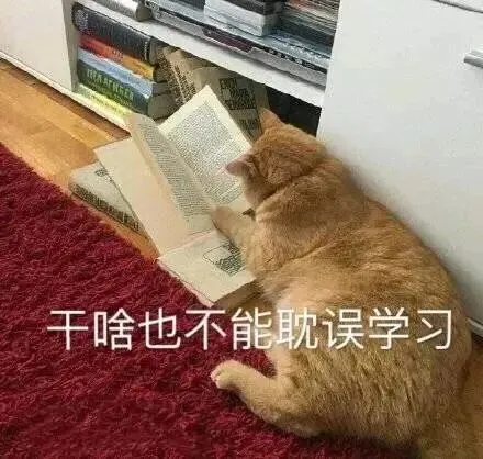 太抽象……教室里的中考横幅能有多有梗? 第4张 太抽象……教室里的中考横幅能有多有梗? 第4张