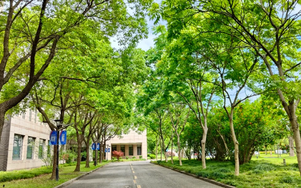 不用内卷中考、保底全日制大学——揭秘上海超宇学校 第7张 不用内卷中考、保底全日制大学——揭秘上海超宇学校 第7张