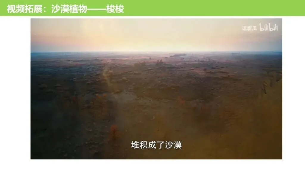 【真题解析36】2025年高考地理试题解析——湖南卷 第44张 【真题解析36】2025年高考地理试题解析——湖南卷 第44张