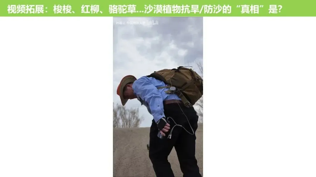 【真题解析36】2025年高考地理试题解析——湖南卷 第45张 【真题解析36】2025年高考地理试题解析——湖南卷 第45张