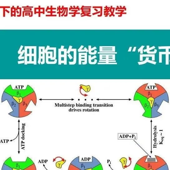 基于真题的一题多问丨胚胎工程 第5张 基于真题的一题多问丨胚胎工程 第5张