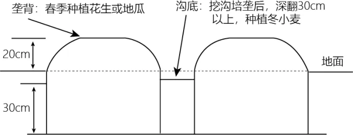 【高考真题】2023年高考地理山东卷(附官方答案) 第12张 【高考真题】2023年高考地理山东卷(附官方答案) 第12张