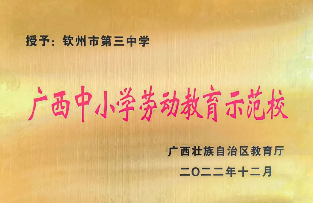 深耕教材促教学,聚力研讨备中考——全市初中化学教研活动在钦州三中圆满落幕 第26张 深耕教材促教学,聚力研讨备中考——全市初中化学教研活动在钦州三中圆满落幕 第26张