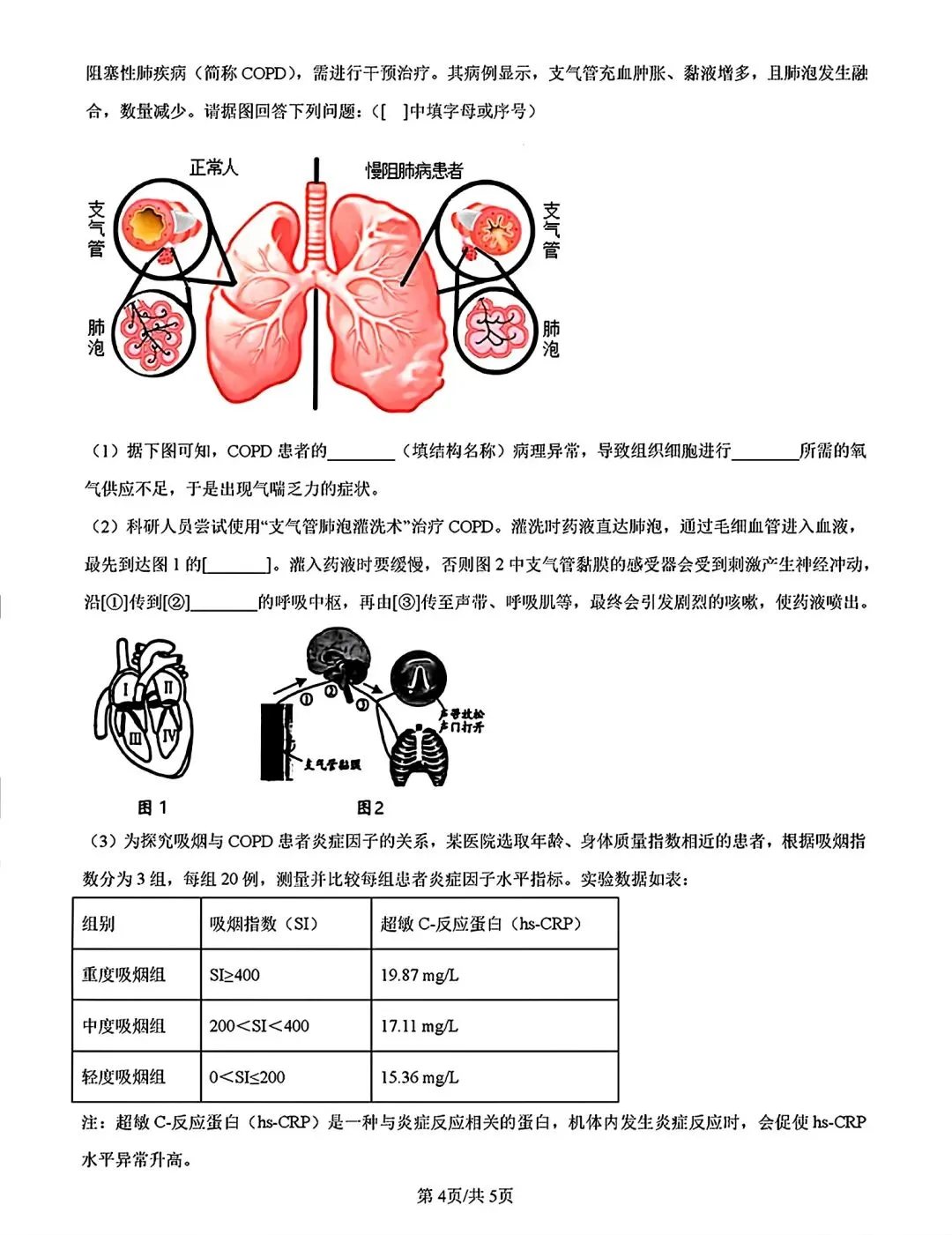 内蒙古乌兰察布市2026中考二模生物试卷及答案 第4张