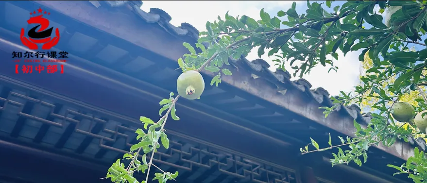 【初中语文】中考语文常考23篇文言文阅读汇总,收藏学习!中考必看! 第2张