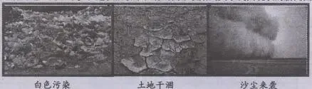 2013年衡阳市初中毕业学业考试模拟试卷(一) 第7张