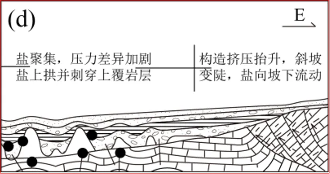 解析 2024年河北卷 高考地理真题 第1张 解析 2024年河北卷 高考地理真题 第1张