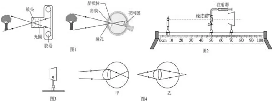 中考物理考前必练:跨学科实践题突破 第11张 中考物理考前必练:跨学科实践题突破 第11张