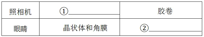 中考物理考前必练:跨学科实践题突破 第12张 中考物理考前必练:跨学科实践题突破 第12张