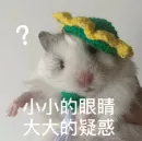 备考没思路?靠真题找准北师大MAP社心复习重心——《社会心理学》分析 第1张 备考没思路?靠真题找准北师大MAP社心复习重心——《社会心理学》分析 第1张
