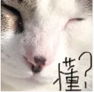 备考没思路?靠真题找准北师大MAP社心复习重心——《社会心理学》分析 第6张 备考没思路?靠真题找准北师大MAP社心复习重心——《社会心理学》分析 第6张