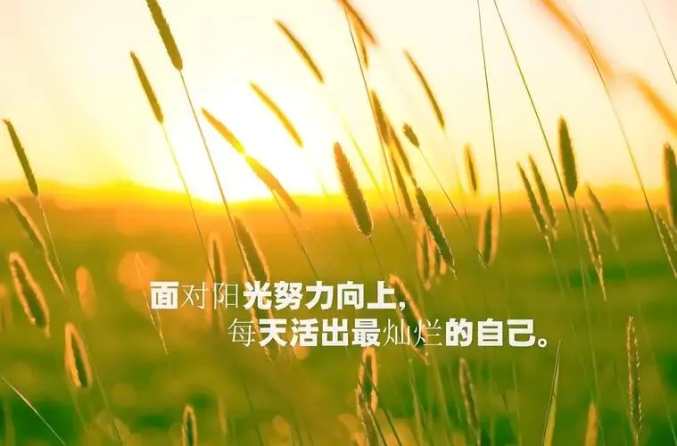 中考驿站:这时,你更要自信 第3张
