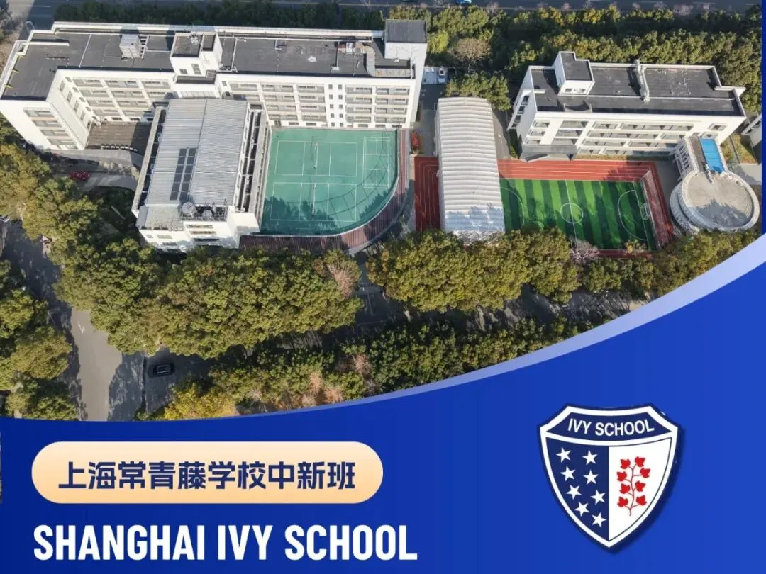 中考不用愁!多元升学路,直通亚洲与全球名校 第13张