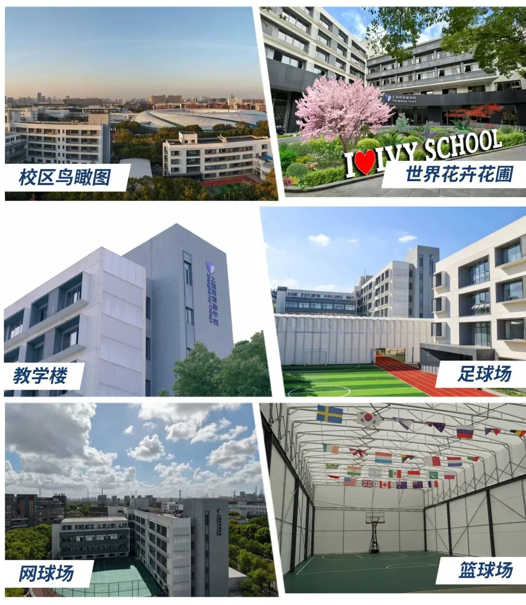中考不用愁!多元升学路,直通亚洲与全球名校 第26张