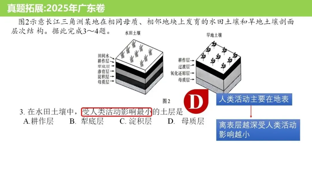 【真题解析37】2025年高考地理试题解析——陕晋宁青卷(西北卷) 第20张 【真题解析37】2025年高考地理试题解析——陕晋宁青卷(西北卷) 第20张