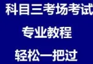 深圳龙田科目三考场模拟考试练车视频最新路线图攻略教程 第7张 深圳龙田科目三考场模拟考试练车视频最新路线图攻略教程 第7张