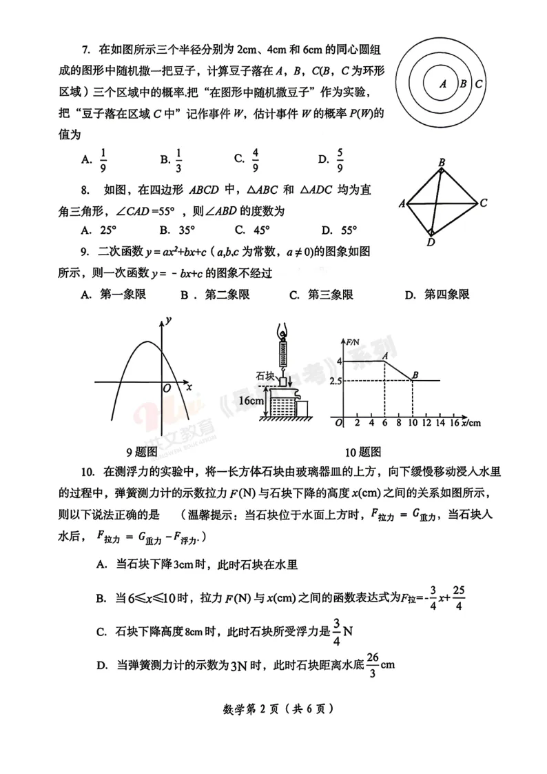 [二模]2026年洛阳市二模试卷(7科全)试卷及参考答案 第12张