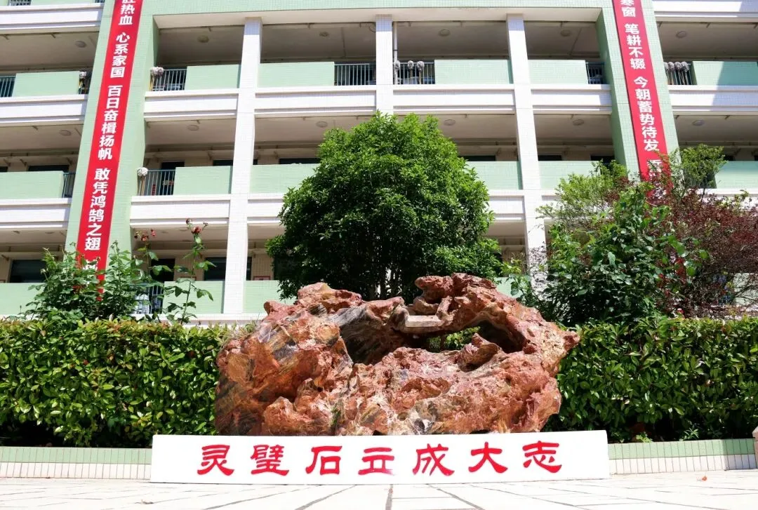 中考招生季|盐城市亭湖高级中学,让成长被看见,让梦想皆成真 第4张 中考招生季|盐城市亭湖高级中学,让成长被看见,让梦想皆成真 第4张
