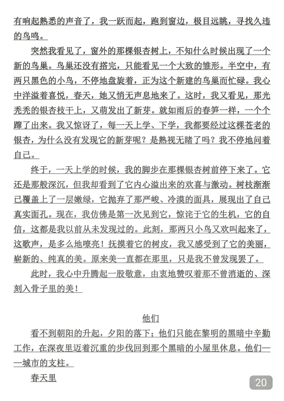 中考押题作文50篇,背下来,总有一篇会考到,考到了直接仿写! 第20张