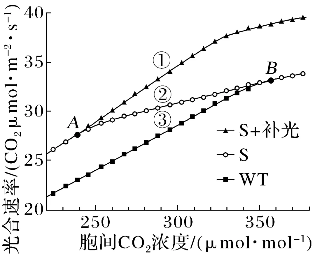 细胞生物学和植物生理学感悟真题·长句表述 第1张