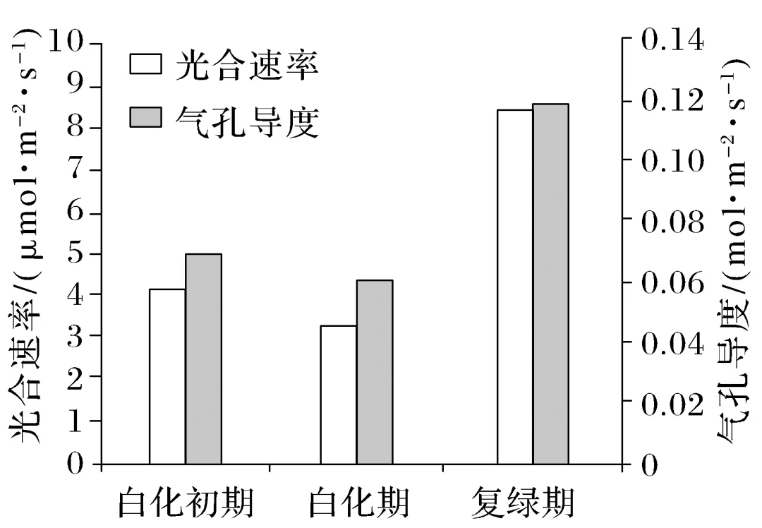 细胞生物学和植物生理学感悟真题·长句表述 第2张