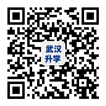 2026年江岸区九下五调数学&语文试卷 第13张
