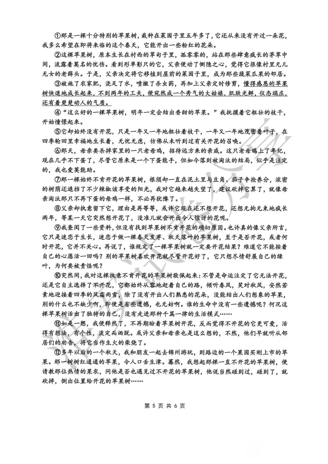 期末复习不用愁!七下语文模拟试卷已备好 第6张