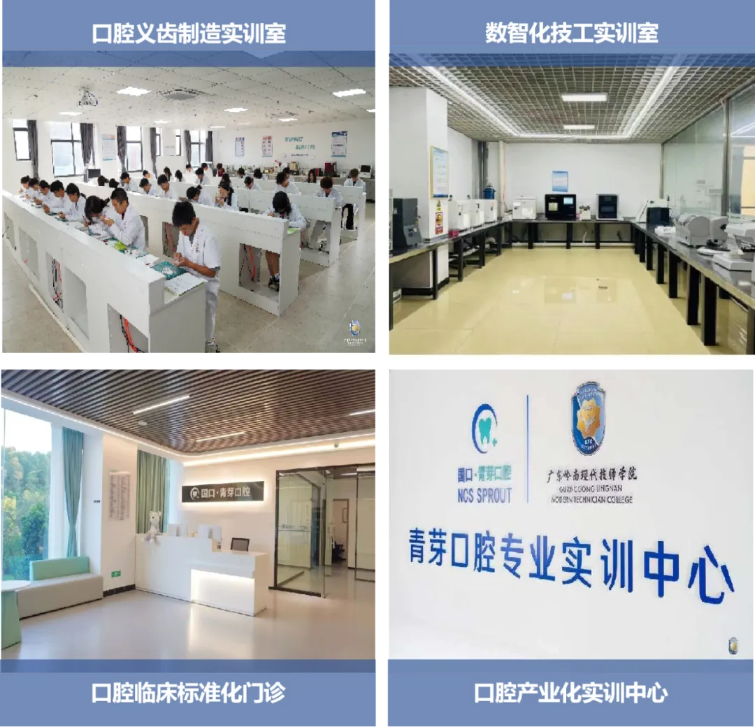 中考免填志愿,直接录取:广东岭南现代技师学院2026年招生计划 第9张