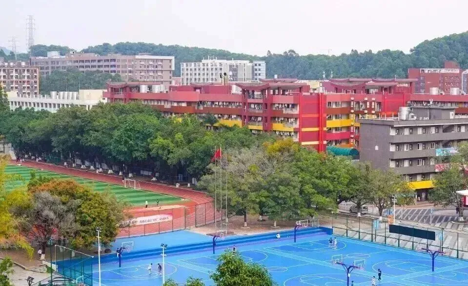 中考免填志愿,直接录取:广东岭南现代技师学院2026年招生计划 第37张