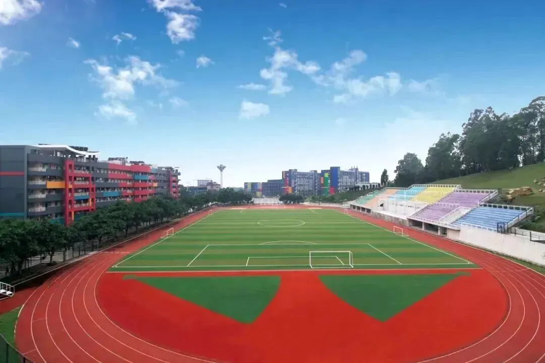 中考免填志愿,直接录取:广东岭南现代技师学院2026年招生计划 第39张