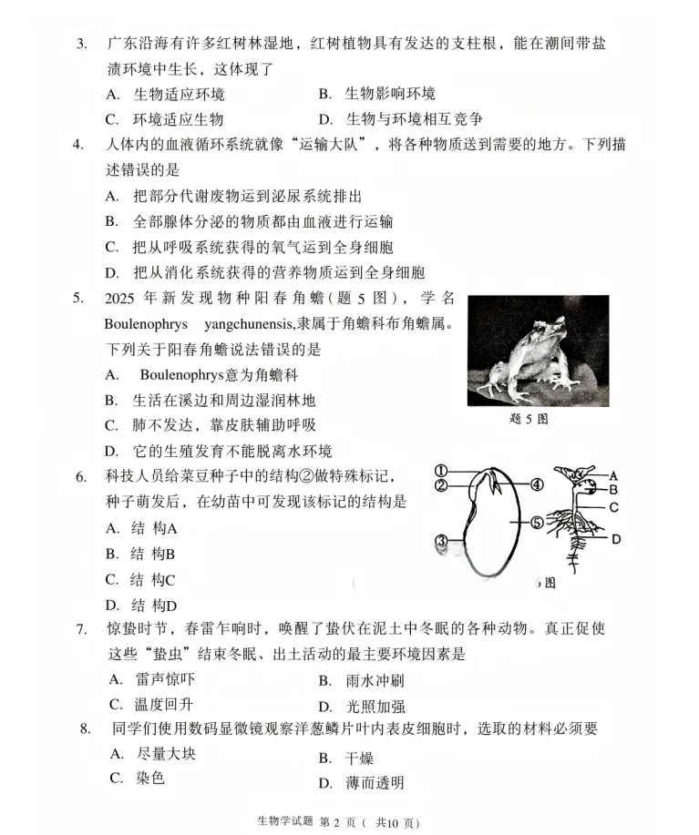 免费领取!2026年大湾区二模九科试卷!查缺补漏必看! 第56张