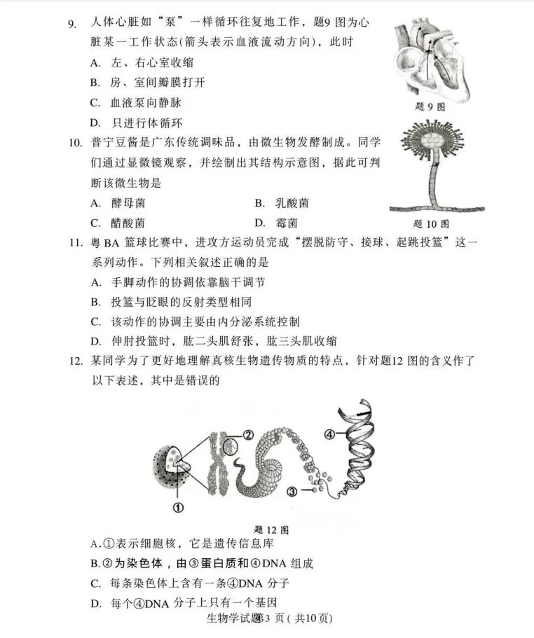 免费领取!2026年大湾区二模九科试卷!查缺补漏必看! 第57张