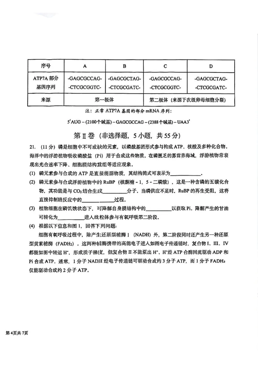 哈九中高三下第四次模拟考试卷+答案【2026】【生物】【高清电子版】 第9张