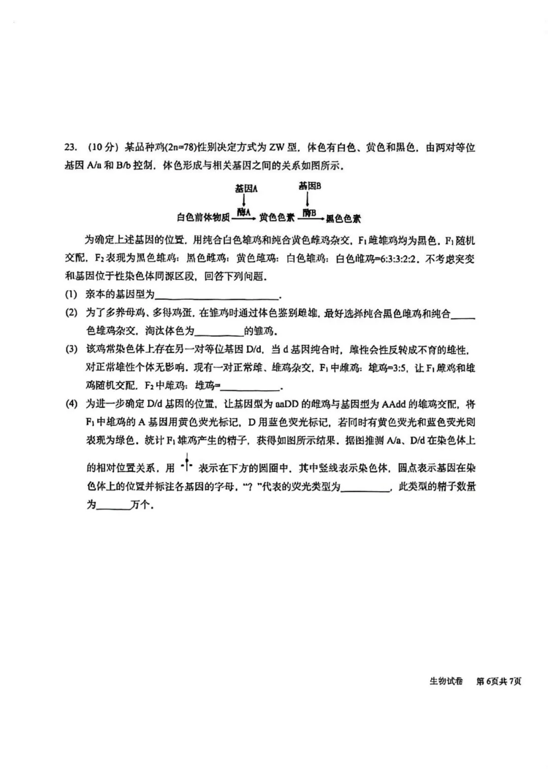 哈九中高三下第四次模拟考试卷+答案【2026】【生物】【高清电子版】 第12张