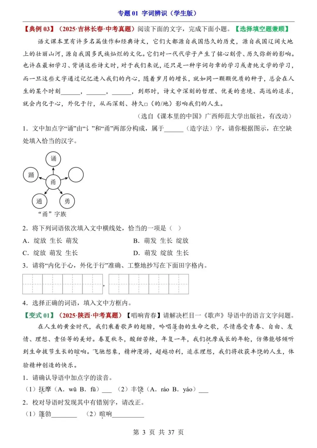 2026中考语文第二轮复习题型专练丨字词辨识专题|字音+字形+词语,一篇搞定(电子版可打印) 第11张