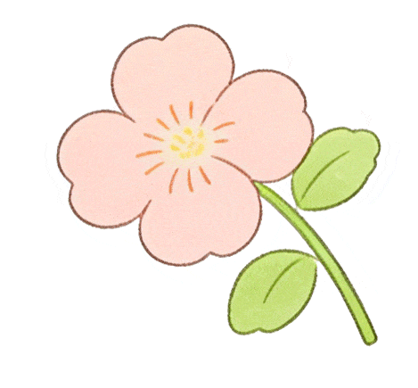 中考成绩提升60分 第3张