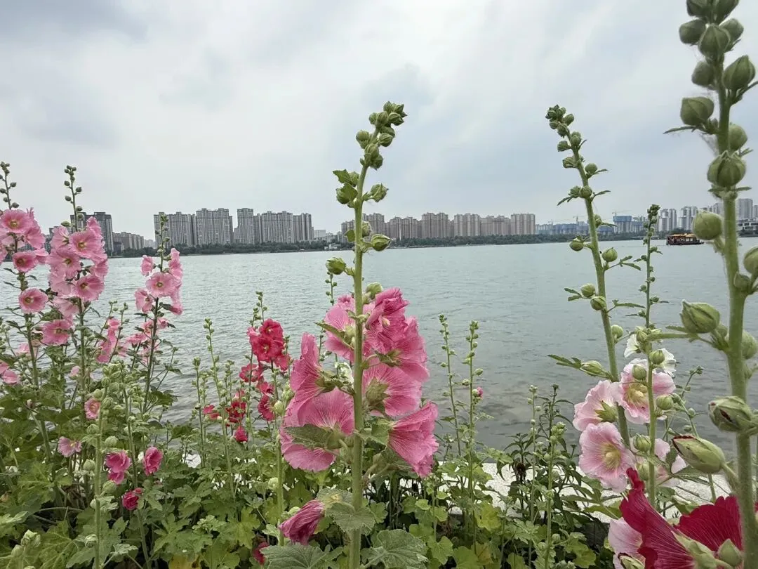 中考听力高频考点必背 第1张