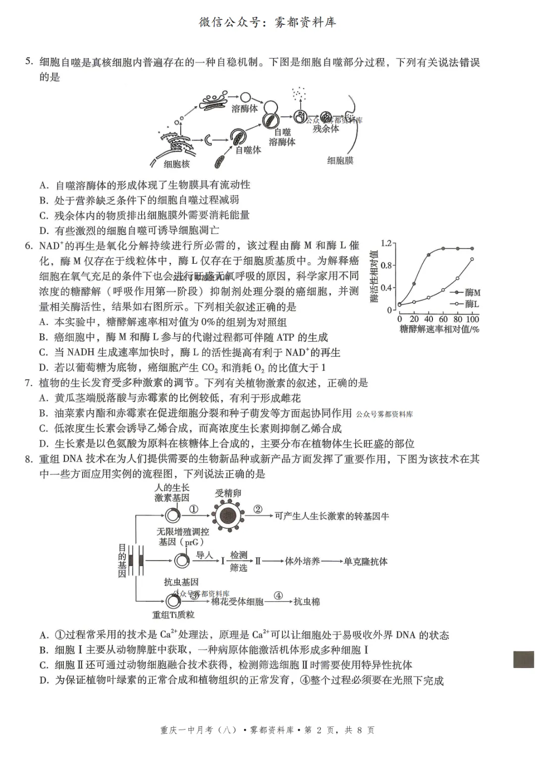 重庆一中2026届高三5月全真模拟适应性考试生物试卷+答案 第6张 重庆一中2026届高三5月全真模拟适应性考试生物试卷+答案 第6张